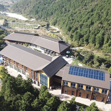 elzinc titanyum çinko - Pyeonbaek Şifa Ormanı